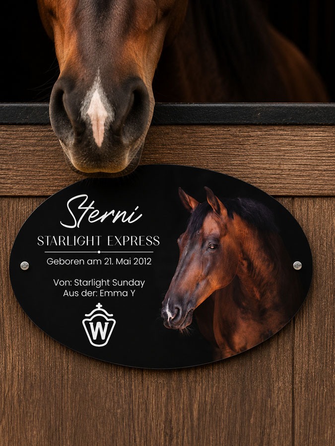 Boxenschild Pferd Foto schwarzer Hintergrund – Bild 2