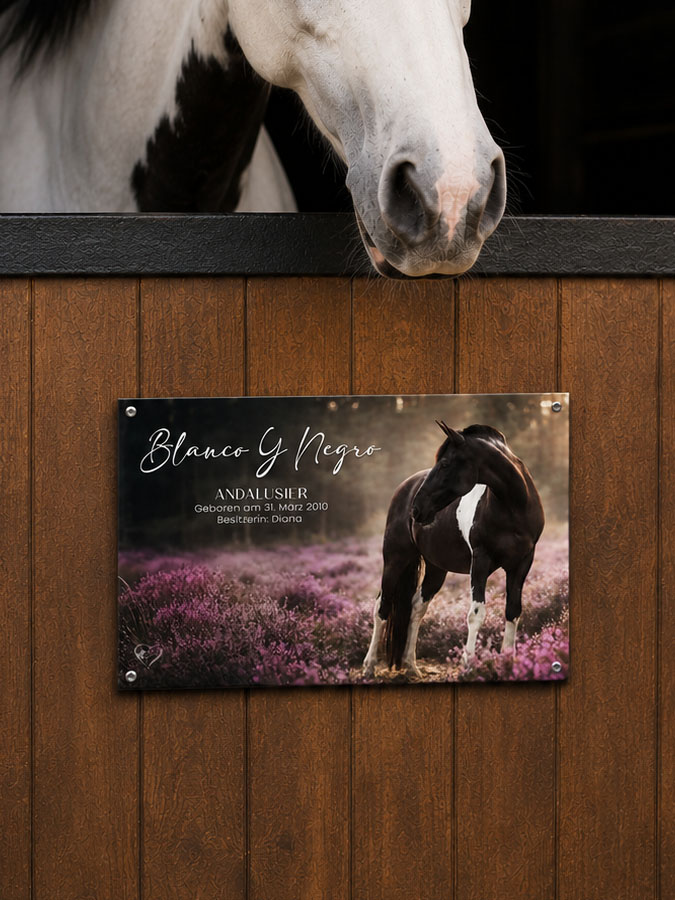Boxenschild Pferd Foto – Bild 2