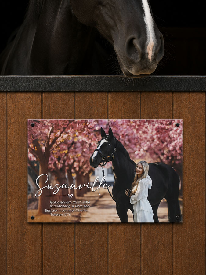 Boxenschild Pferd Foto – Bild 3
