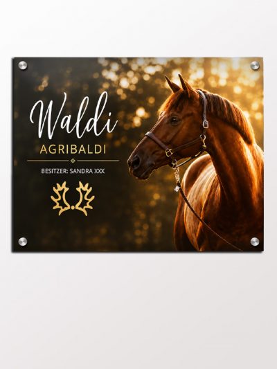 Boxenschild Pferd Foto