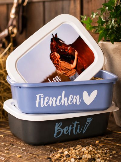 Futterdosen Pferd Foto