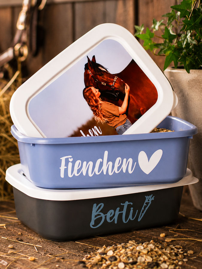 Futterdosen Pferd Foto