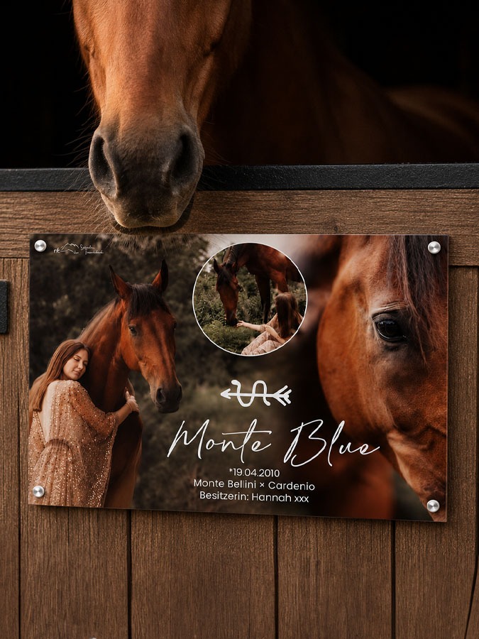Boxenschild Pferd Fotocollage – Bild 2