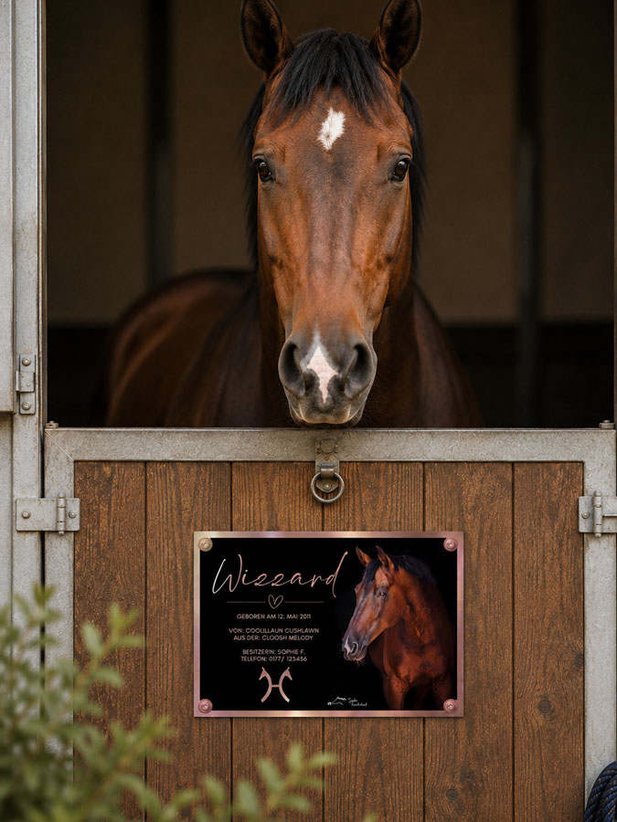 Boxenschild Pferd Rosé Gold Foto – Bild 2
