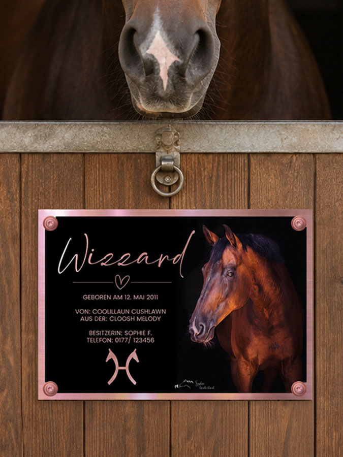 Boxenschild Pferd Rosé Gold Foto