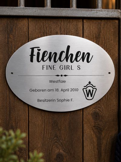 Boxenschild Silber Metallisch Oval