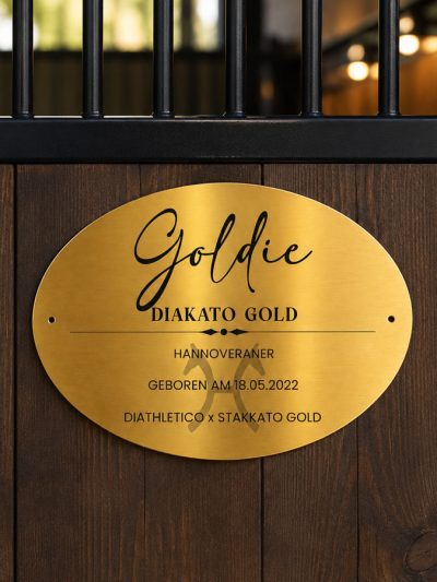 Boxenschild Gold Metallisch Oval