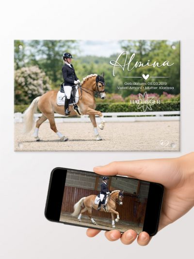 Boxenschild Pferd Modern